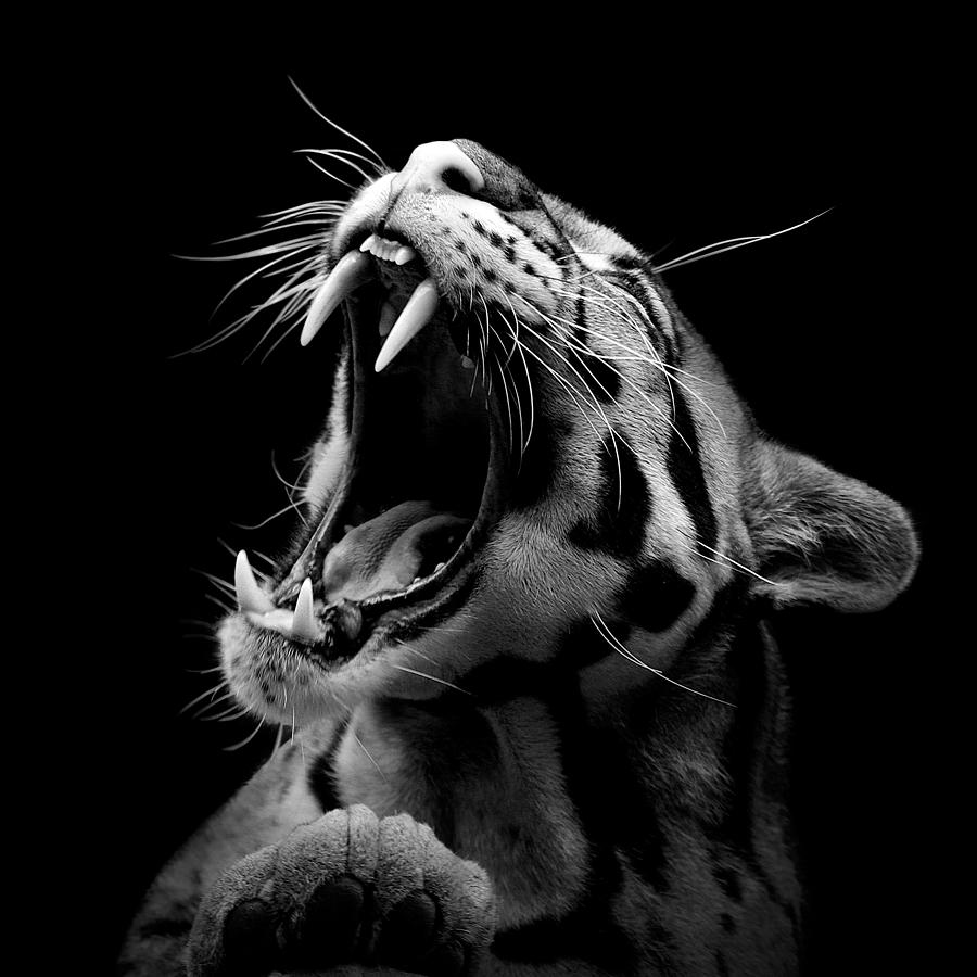 ӰƷ (18).jpg