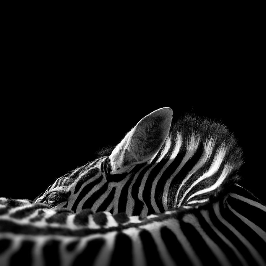 ӰƷ (27).jpg
