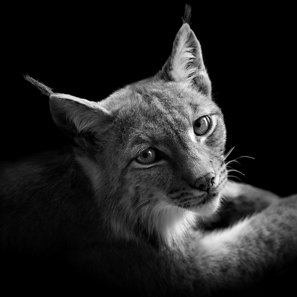 ӰƷ (33).jpg
