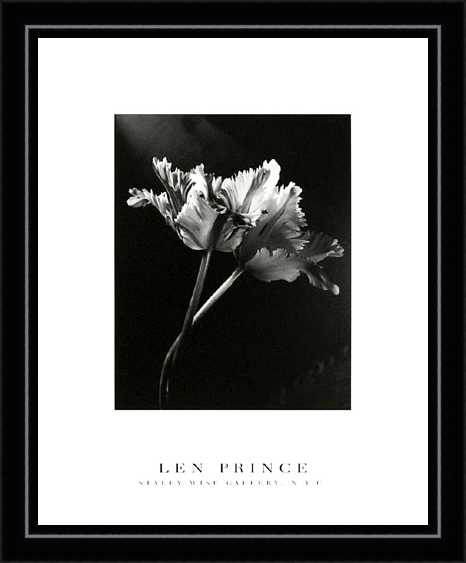 ִ (87).jpg
