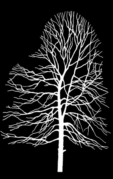 ִ (120).jpg
