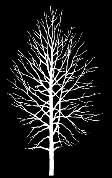 ִ (121).jpg