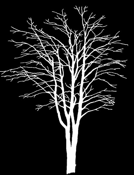 ִ (122).jpg
