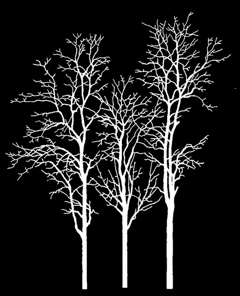 ִ (124).jpg