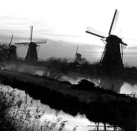 ִ (132).jpg