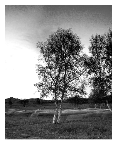 ִ (140).jpg