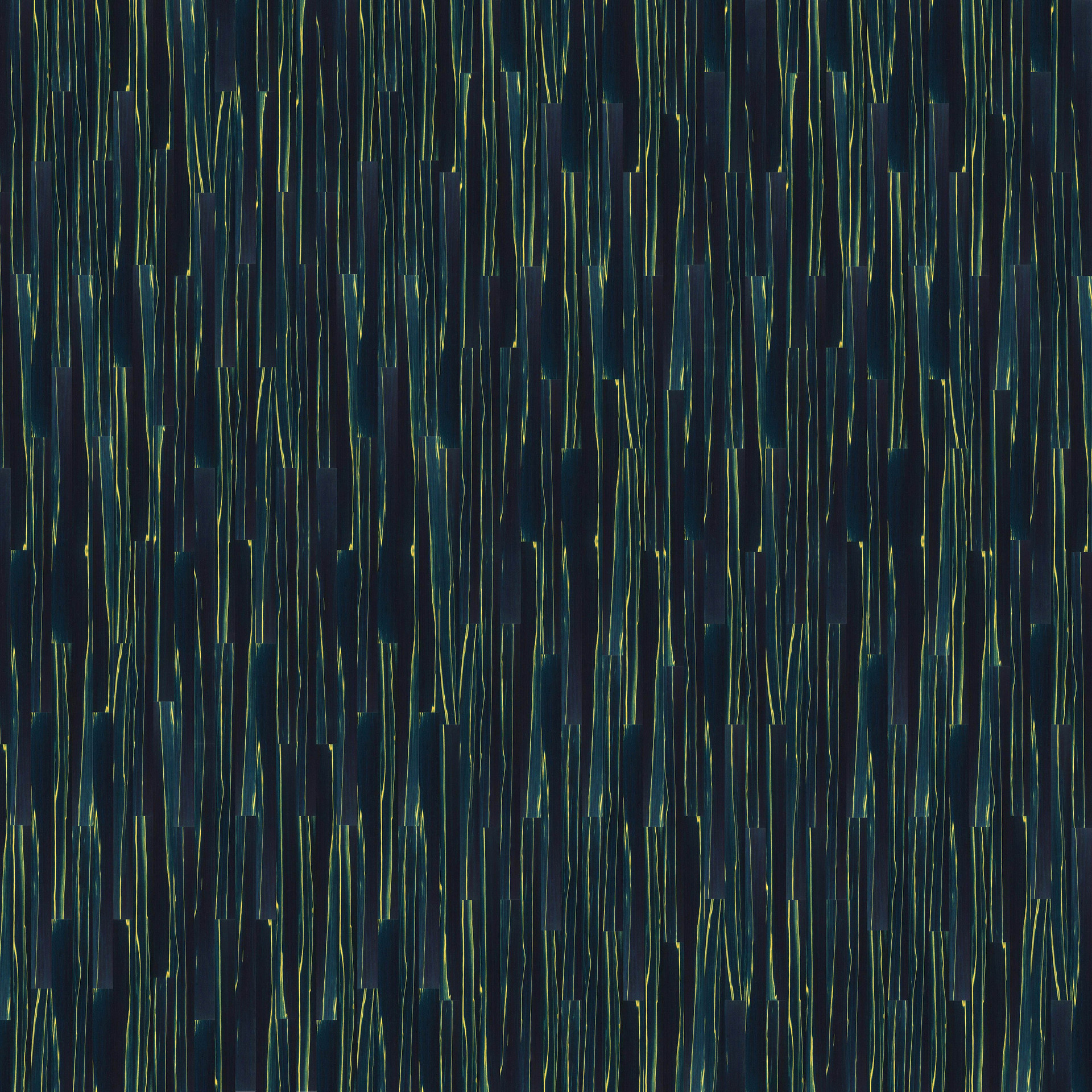 Bذ (211).jpg