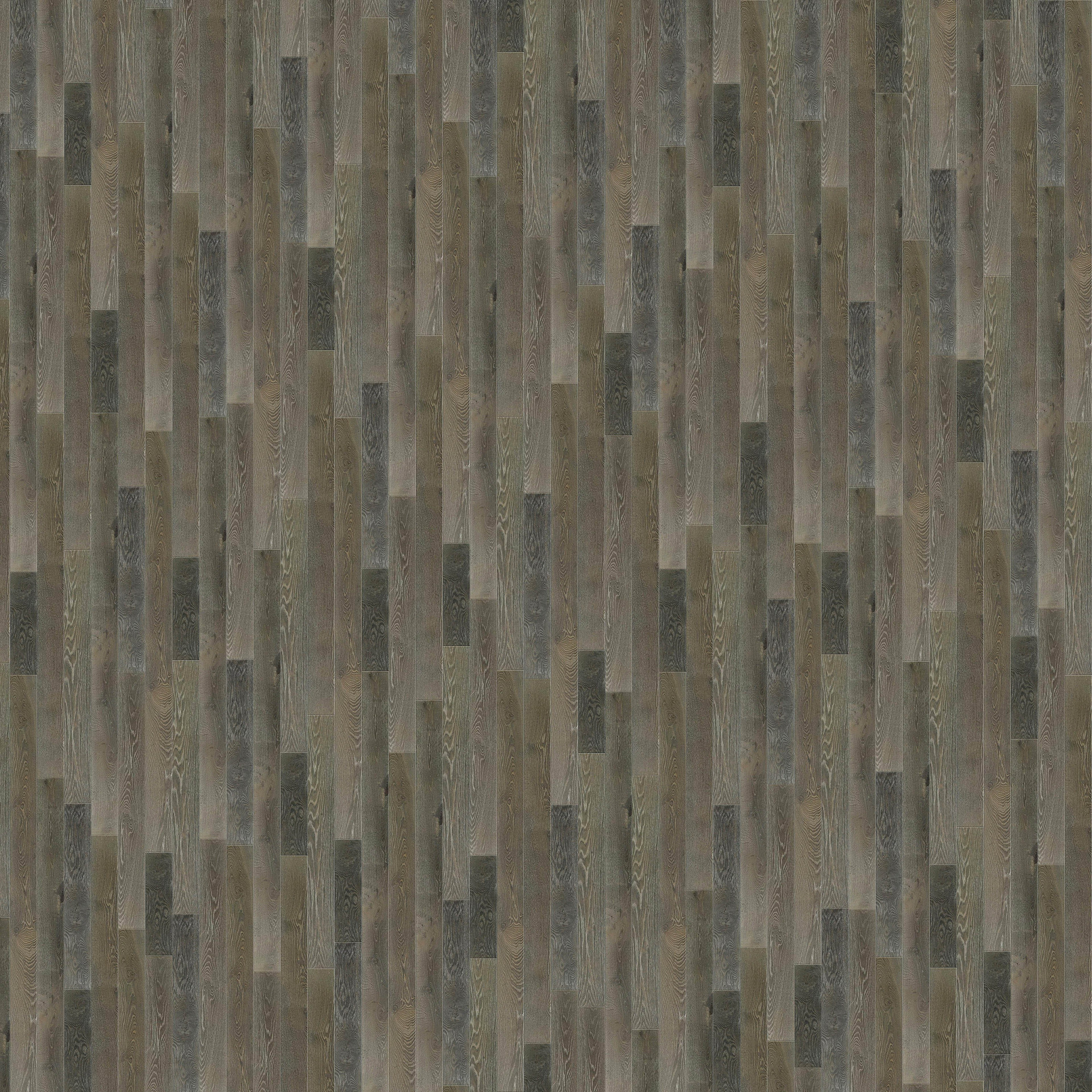 Bذ (260).jpg