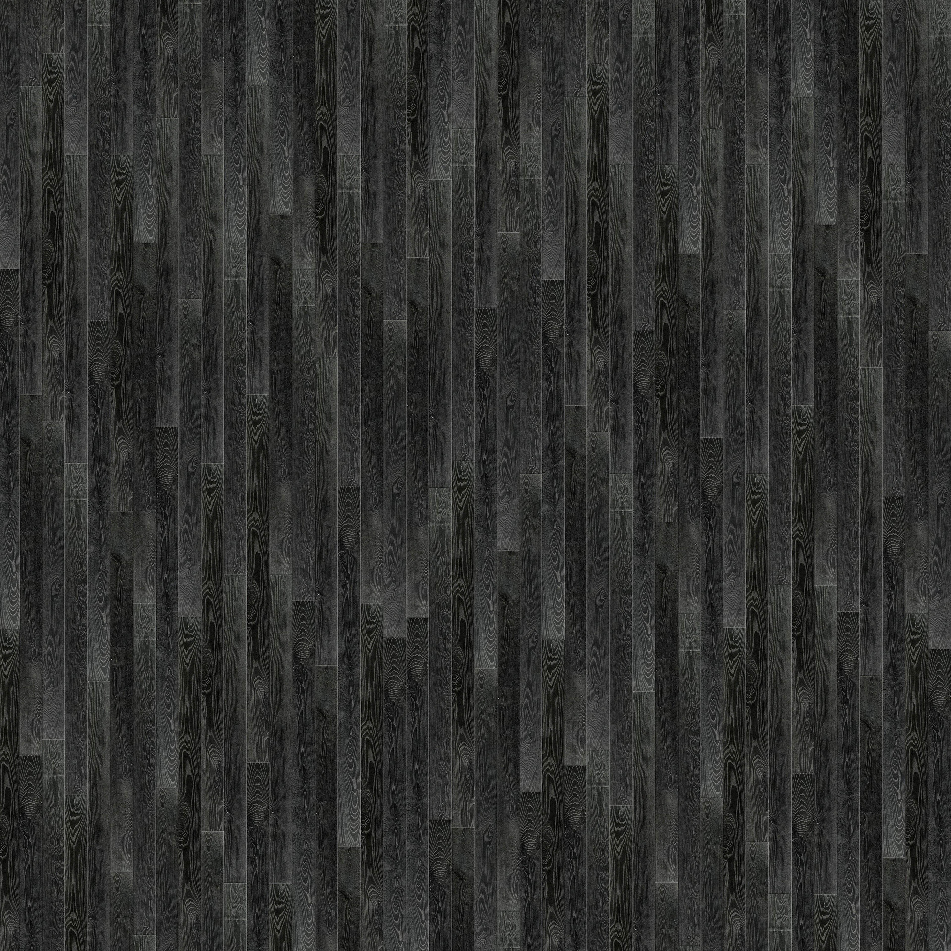 Bذ (275).jpg