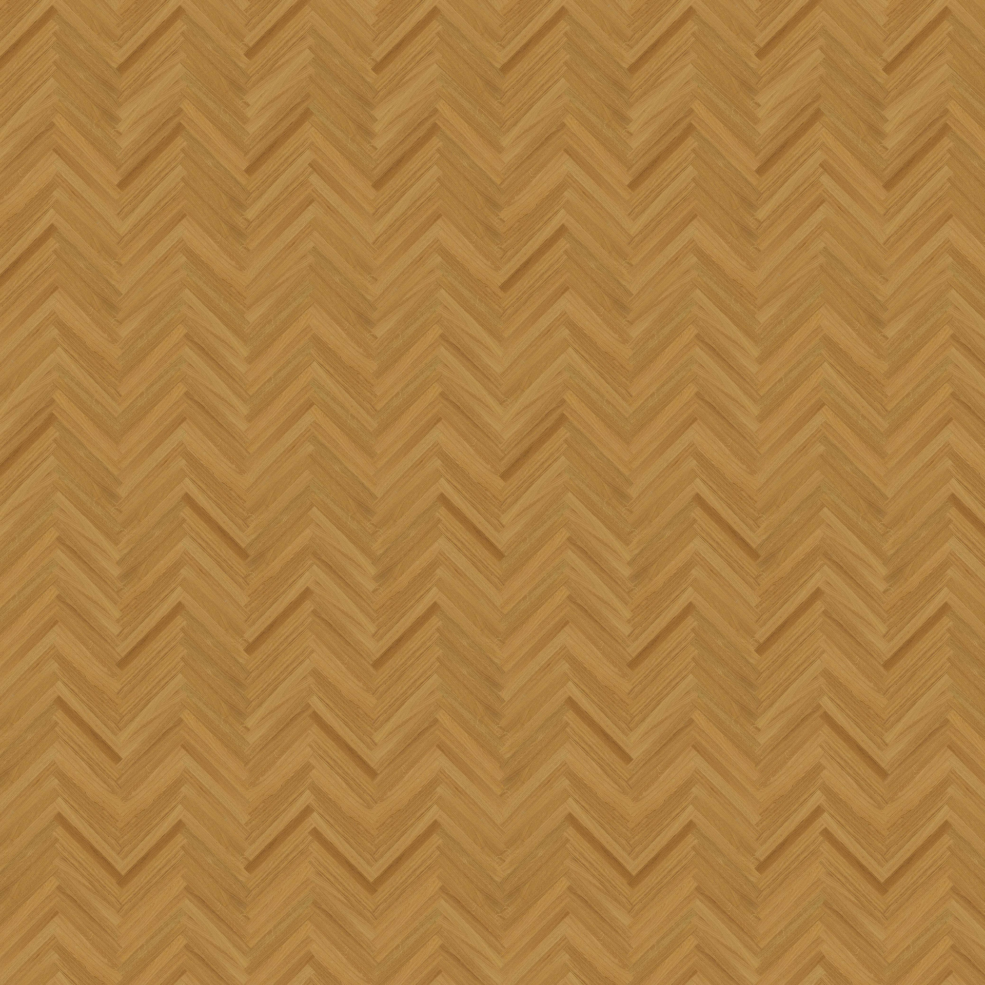 Bذ (277).jpg