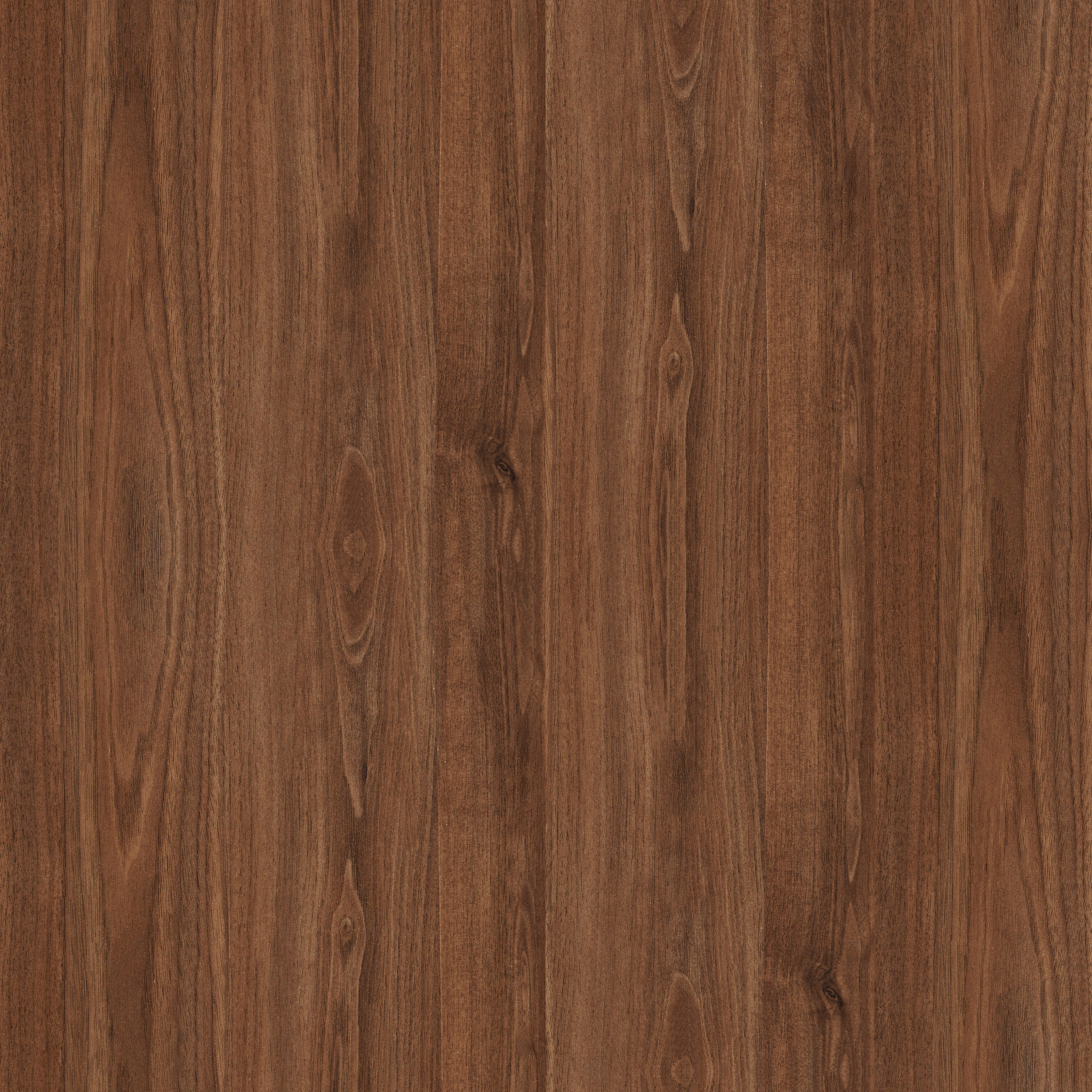 E_Thermo Walnut.jpg
