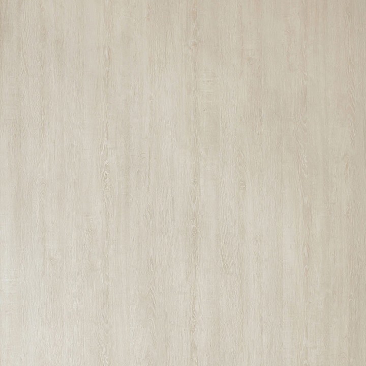 E_ѩľ(ɽ).jpg