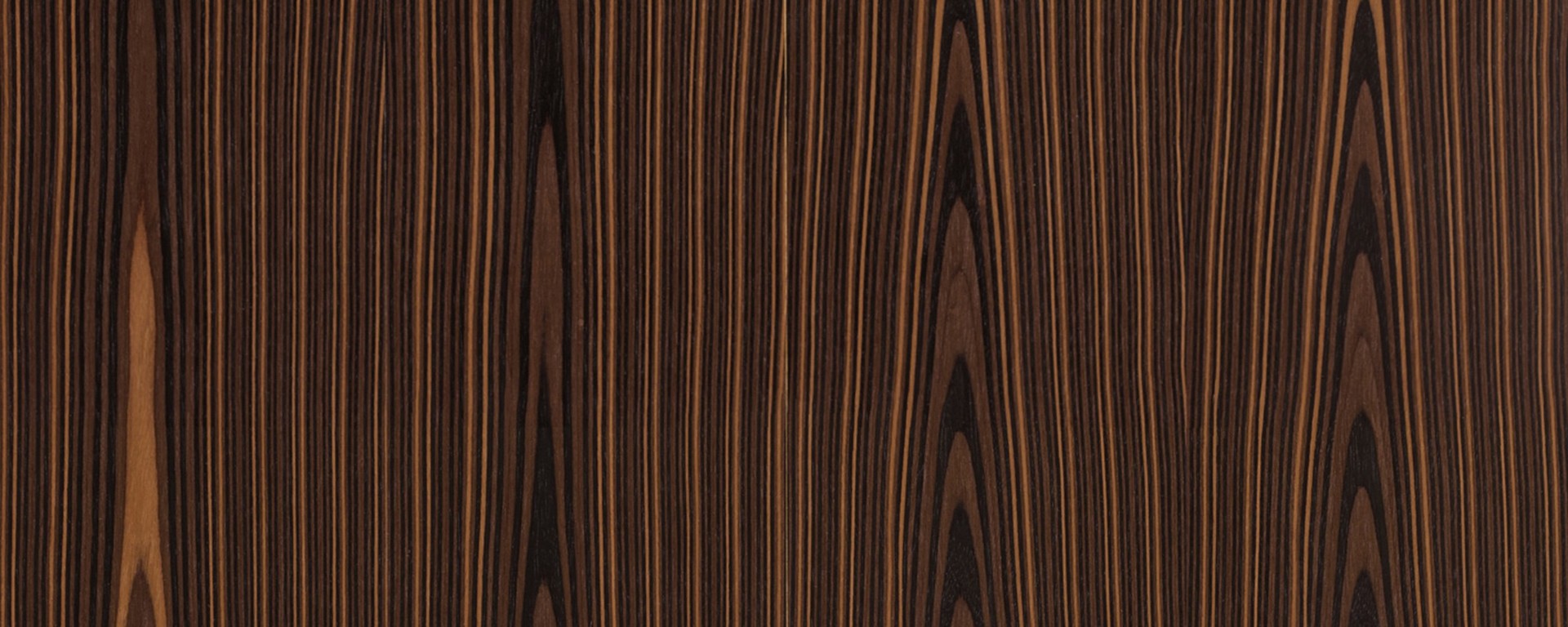 E_ɳ.jpg