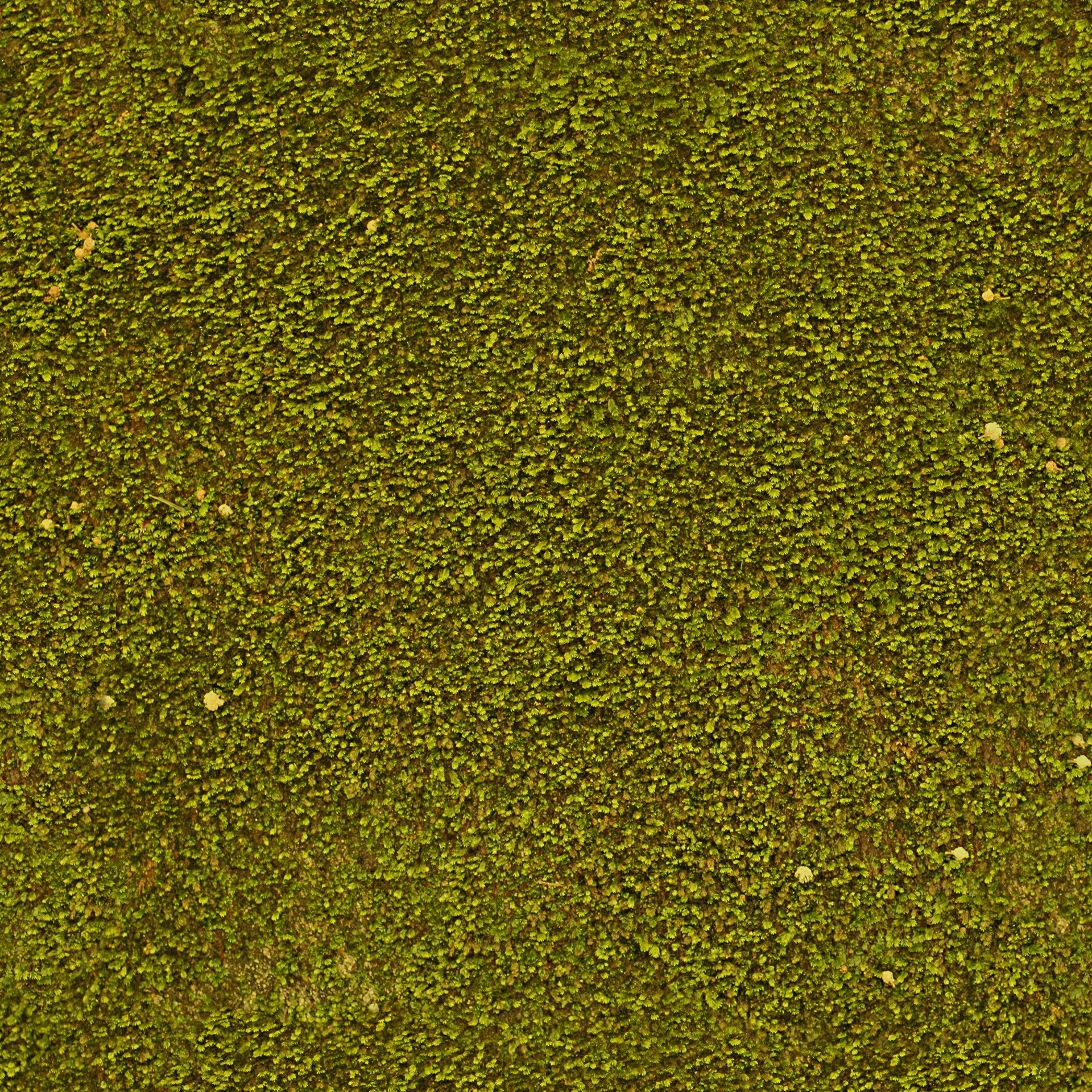 CƤ_0001 (5)_ͼ.jpg