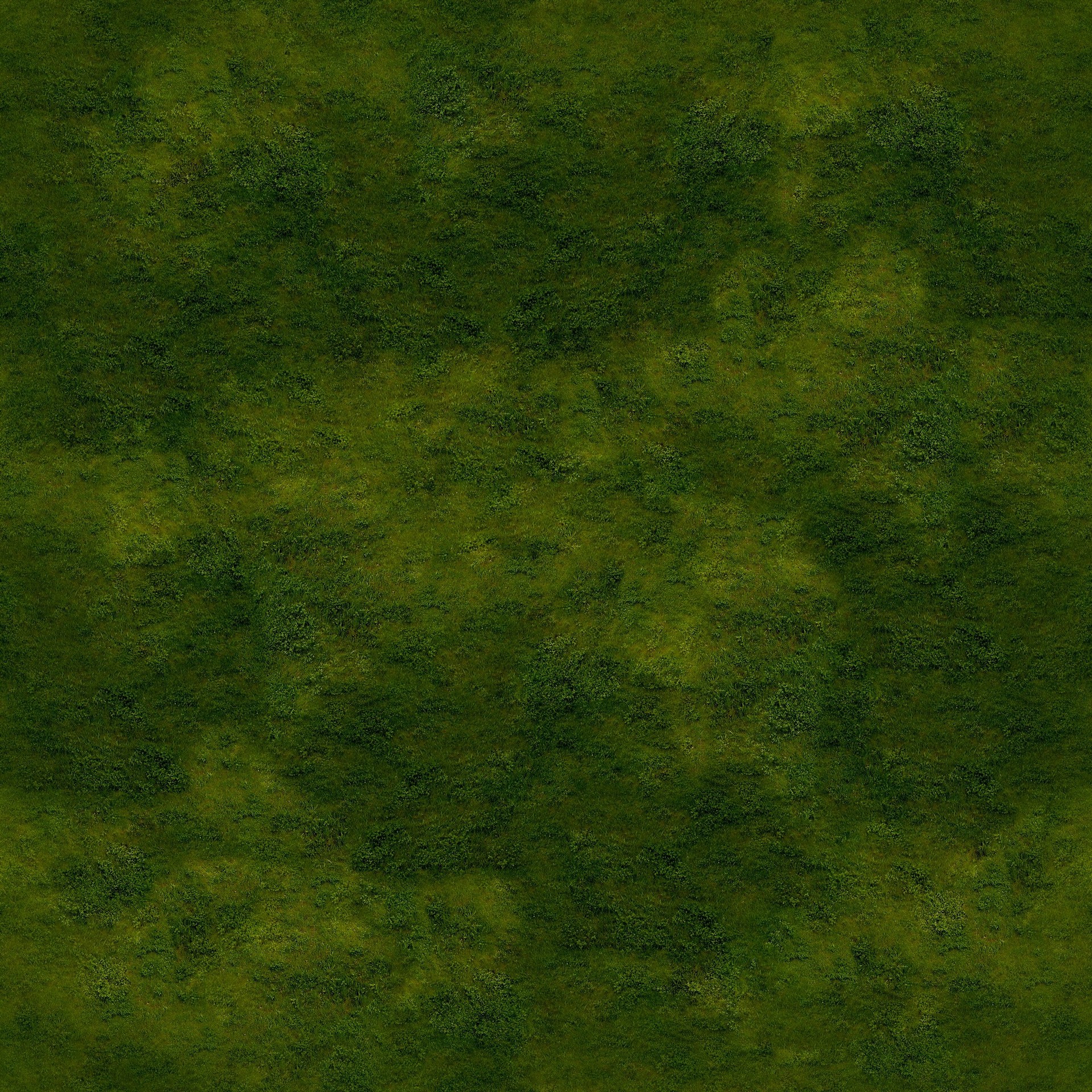 CƤ_0001 (7)_ͼ.jpg