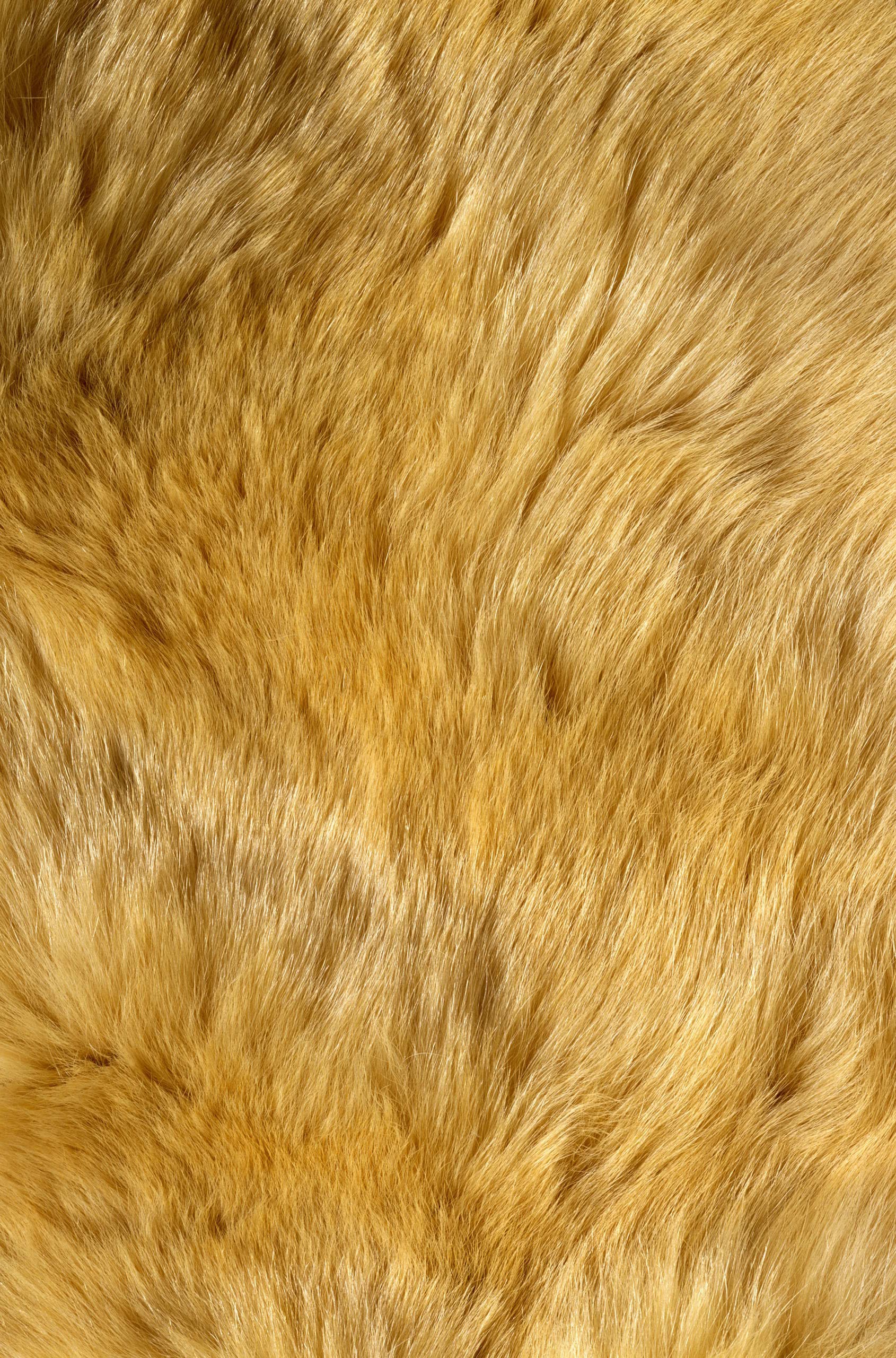 ë (49).jpg