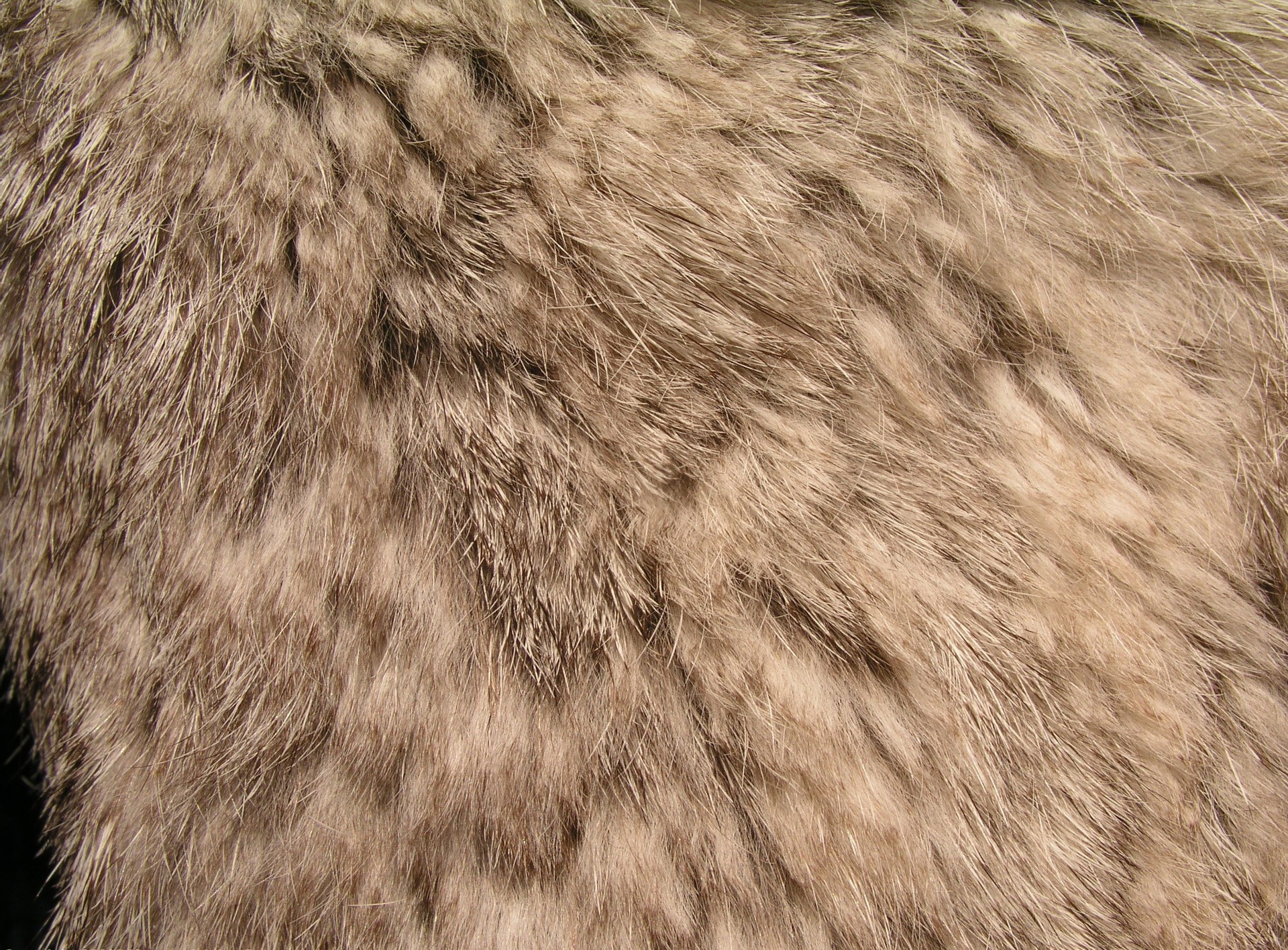 ë (76).jpg