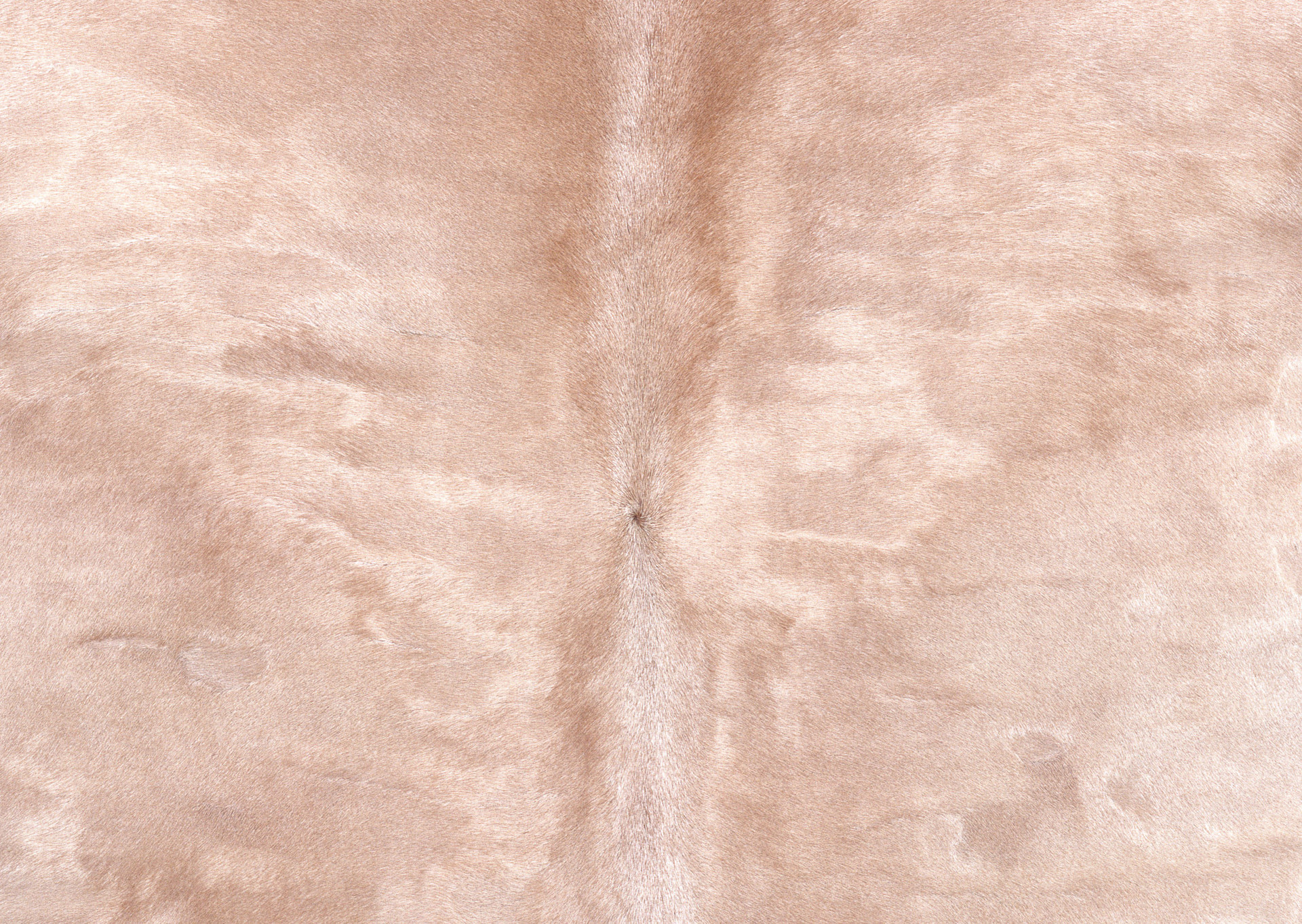 ë (82).jpg