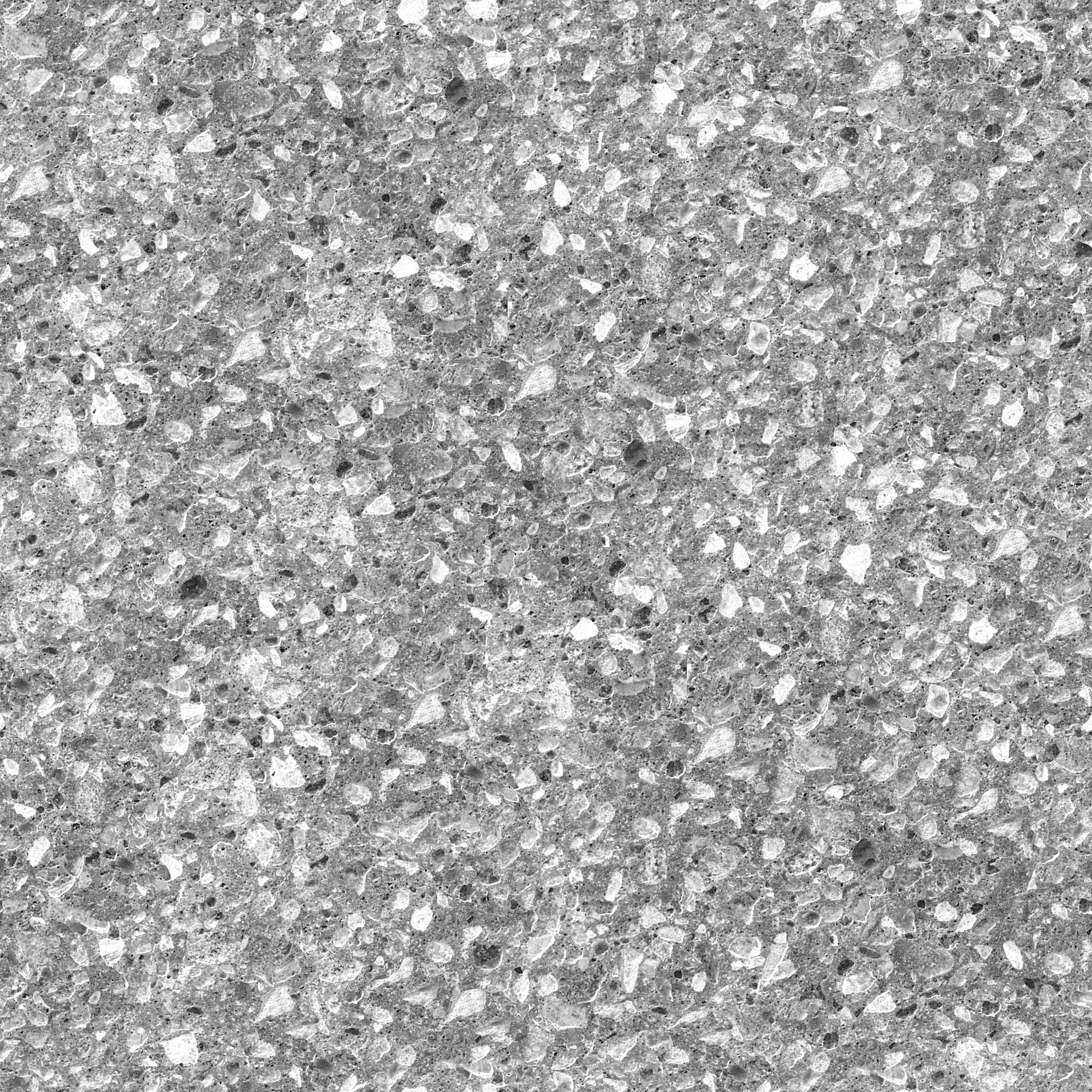 pave007b.jpg