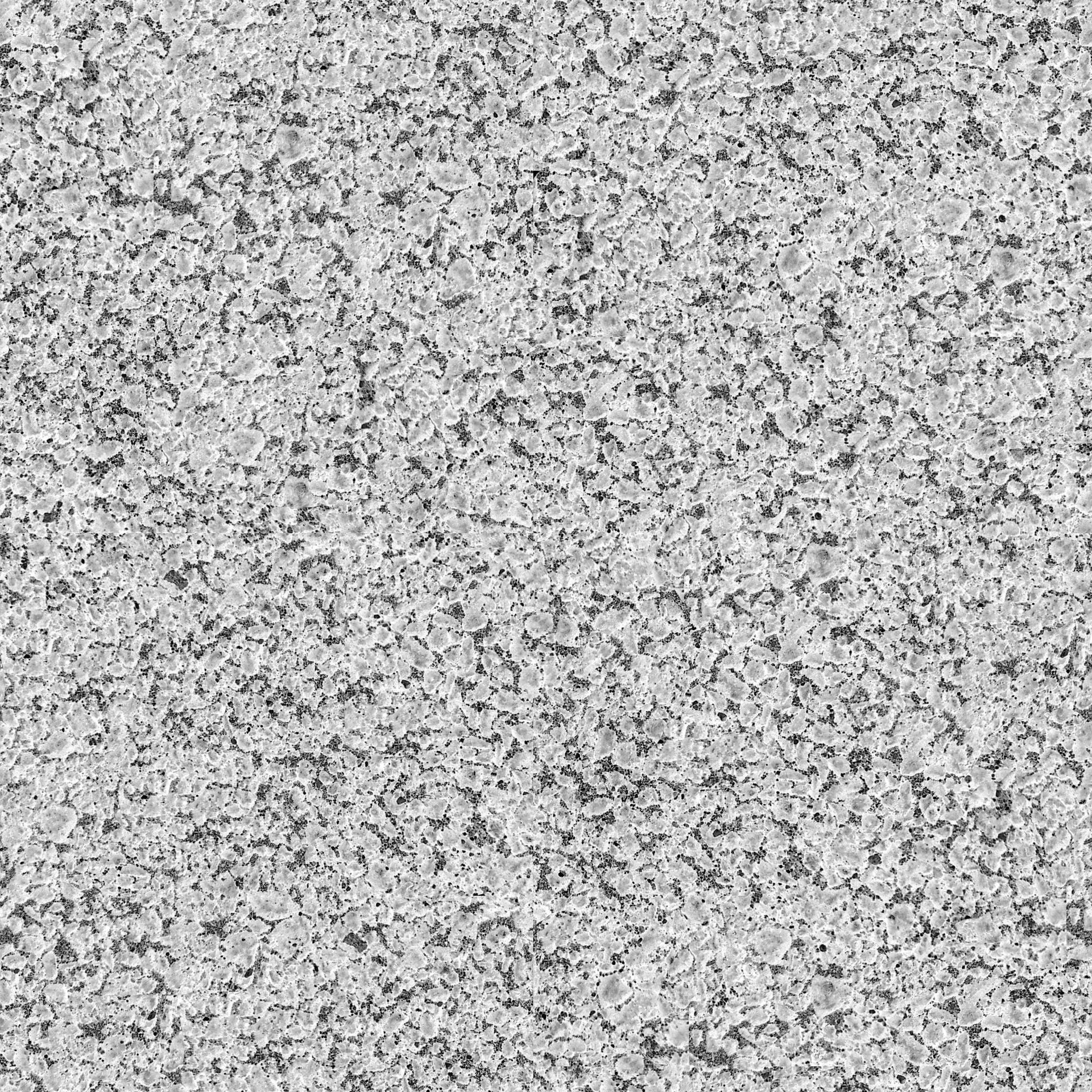 pave008b.jpg