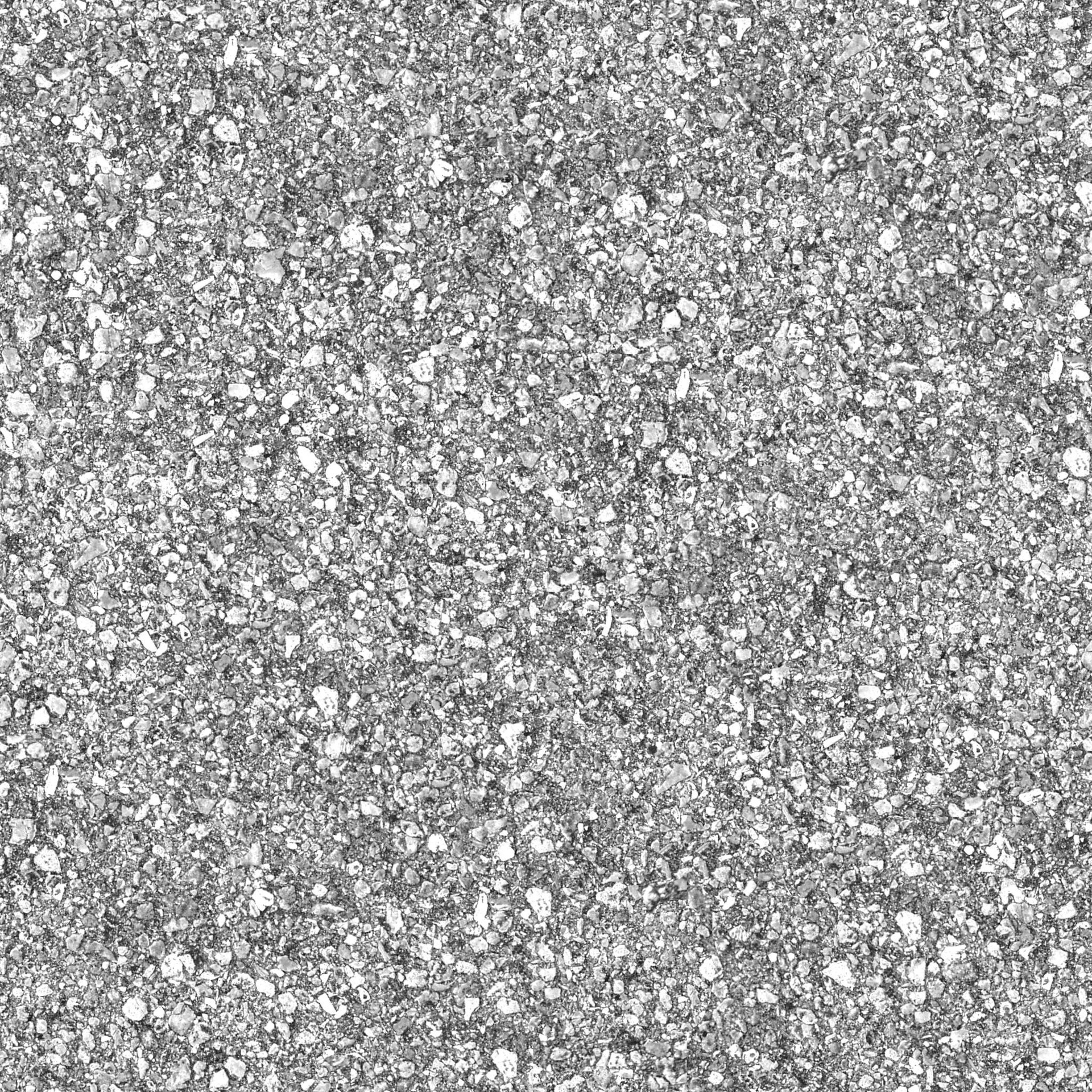 pave009b.jpg