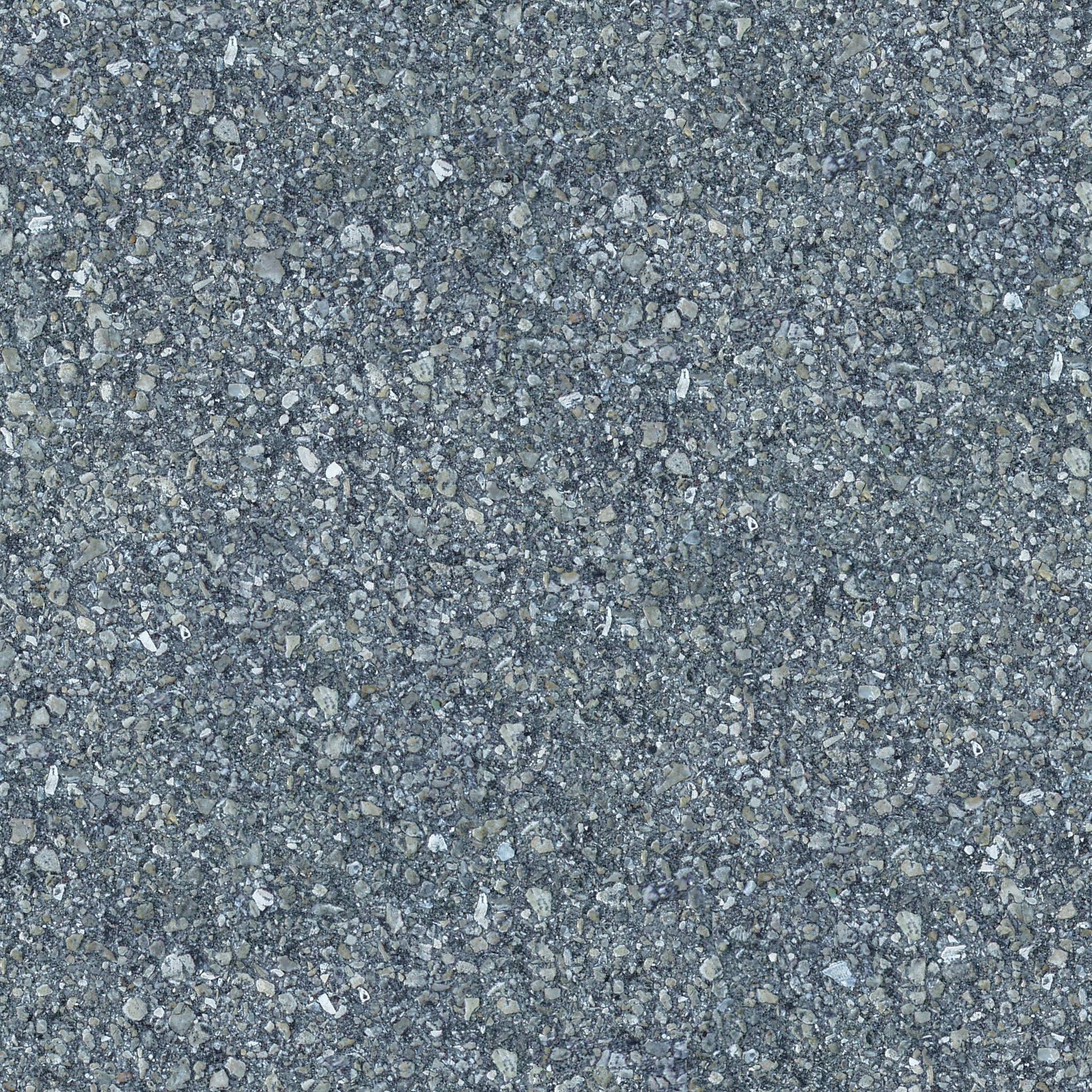 pave009c.jpg
