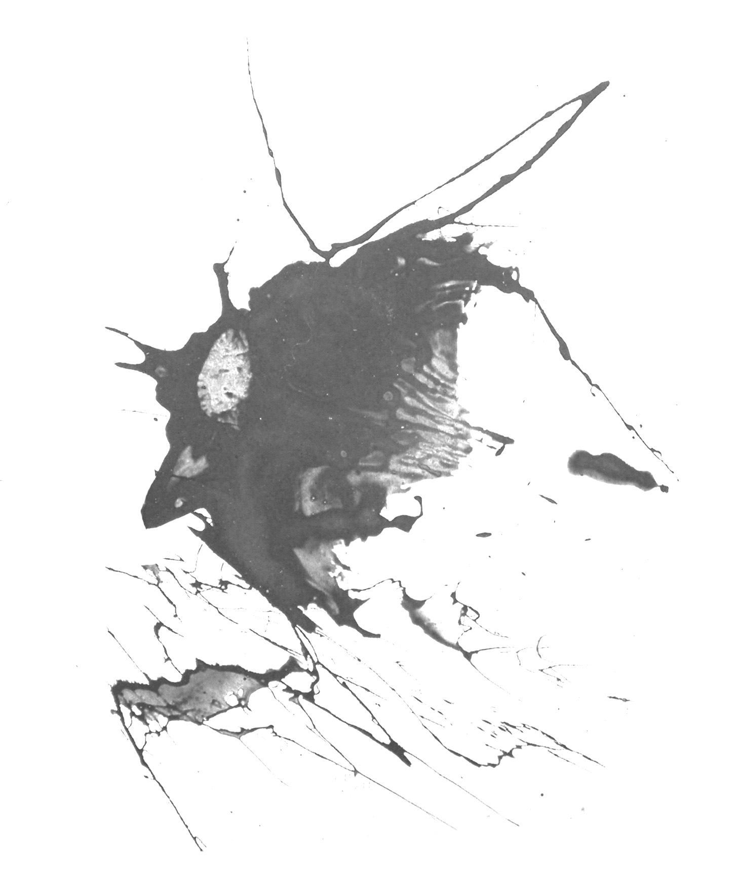 ˮ-ī-9162-FANGDEDE.COM.jpg