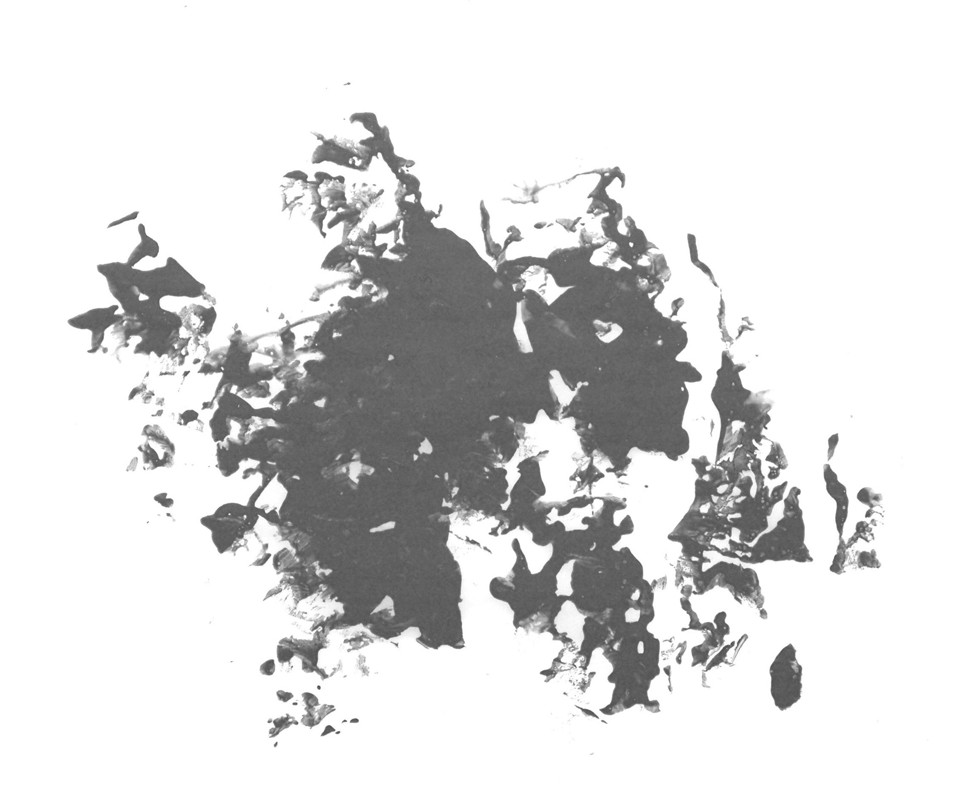 ˮ-ī-9182-FANGDEDE.COM.jpg