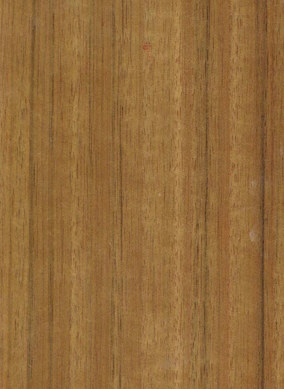 Wood04--www-snren-com.JPG