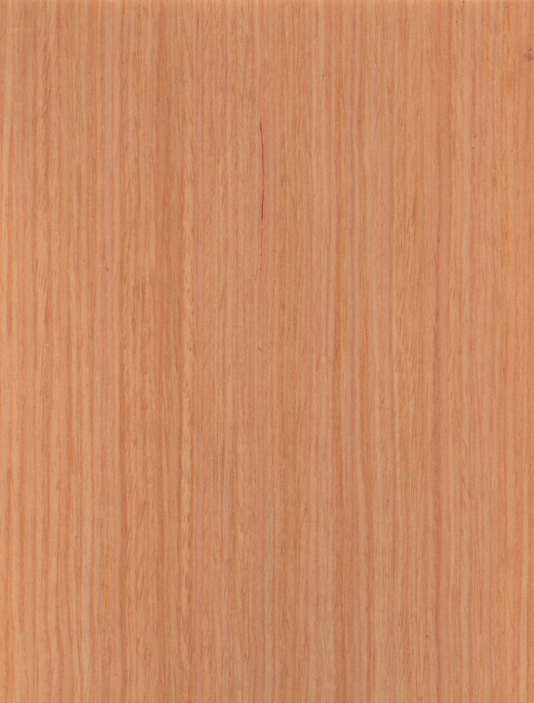 ذ-10().jpg