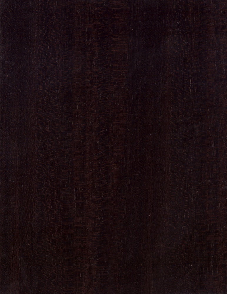 ذ-17().jpg