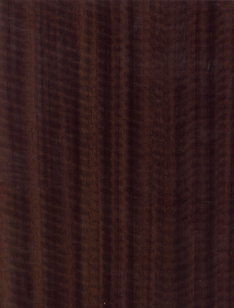 ذ-18().jpg