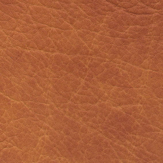 20053201998554.jpg