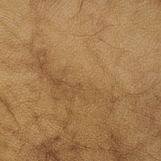 200532019557156.jpg