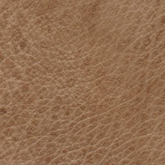 200532019714355.jpg