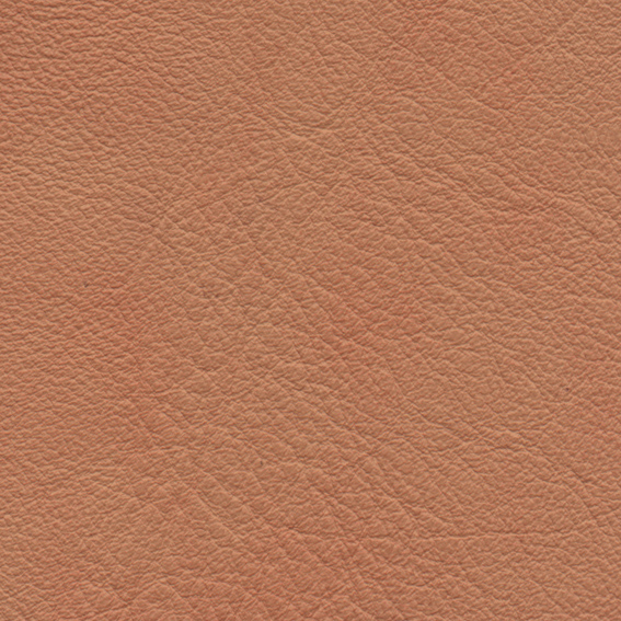200532019841584.jpg