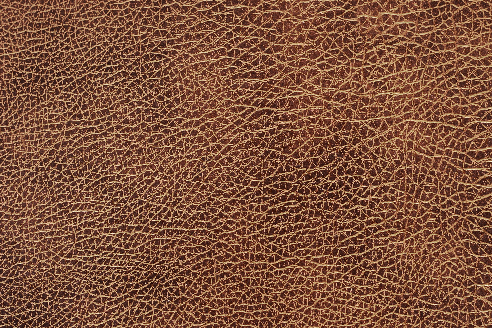 MAXƷ-Ƥ (1)_ͼ.jpg