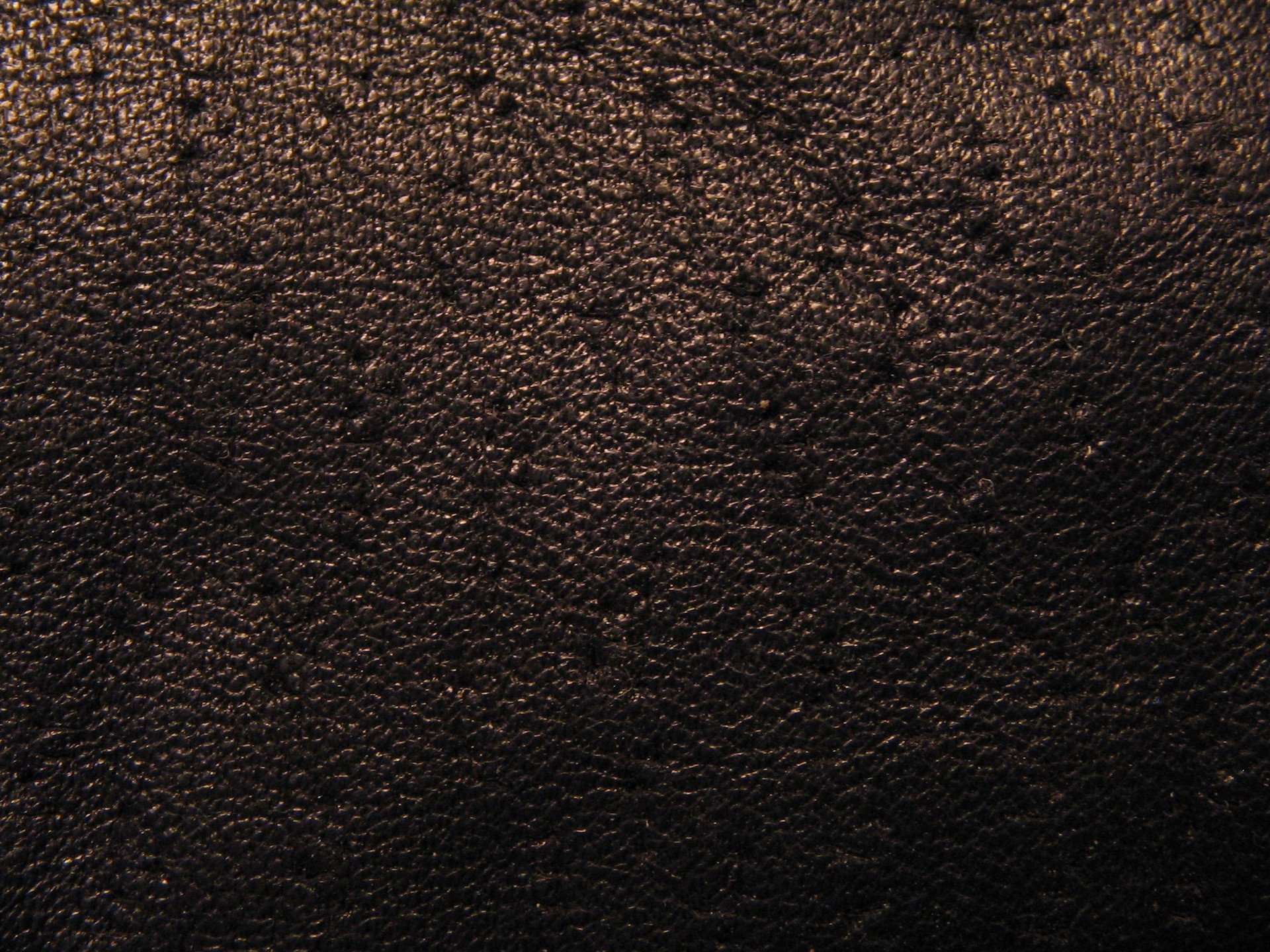 MAXƷ-Ƥ (8)_ͼ.jpg