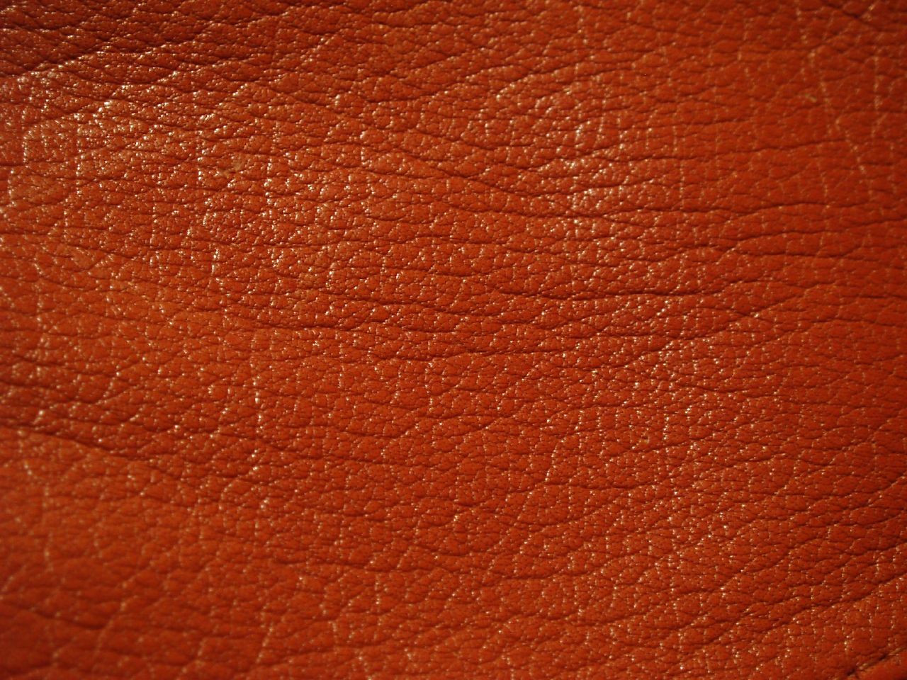 MAXƷ-Ƥ (11).jpg