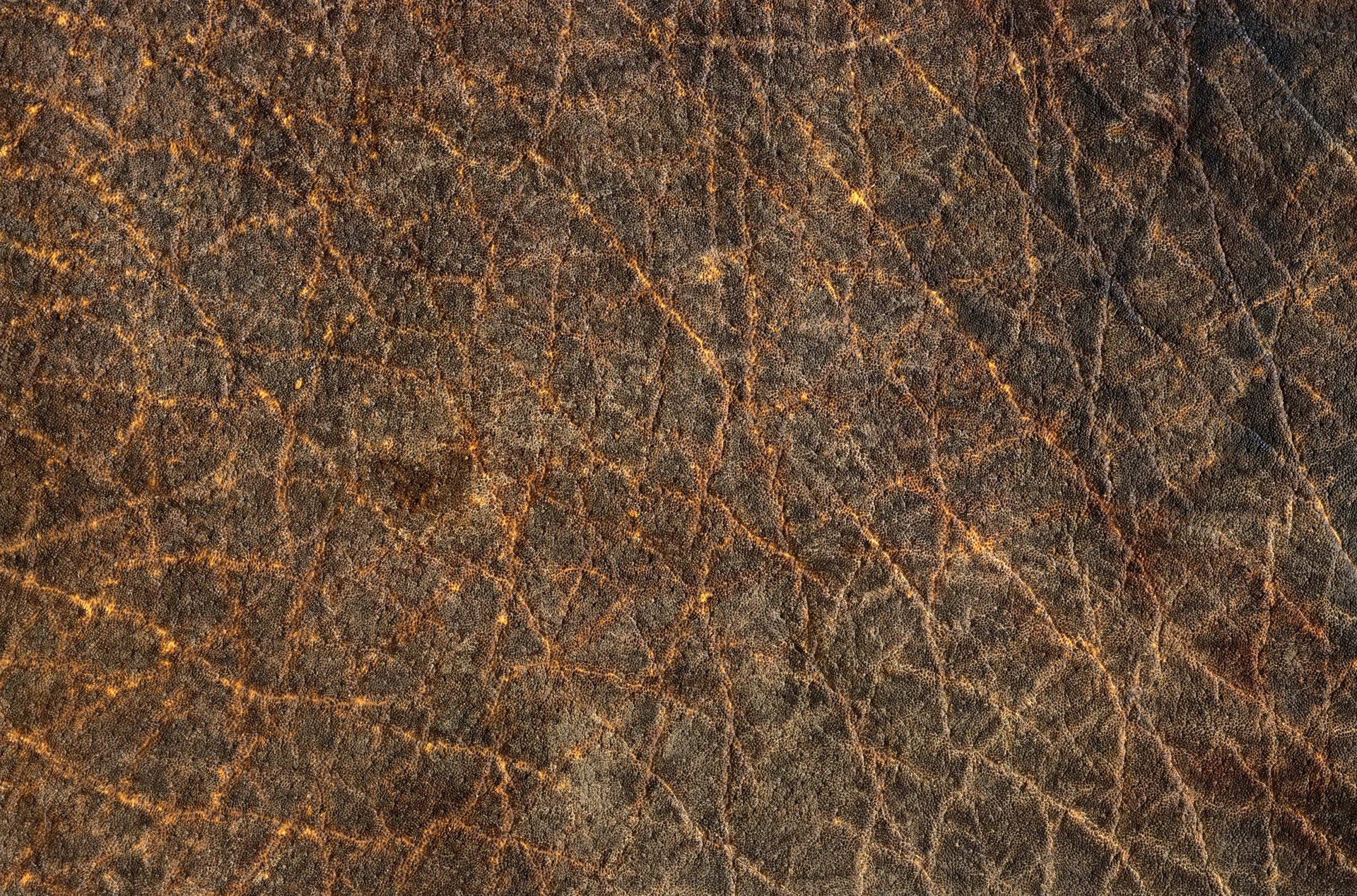 MAXƷ-Ƥ (17).jpg