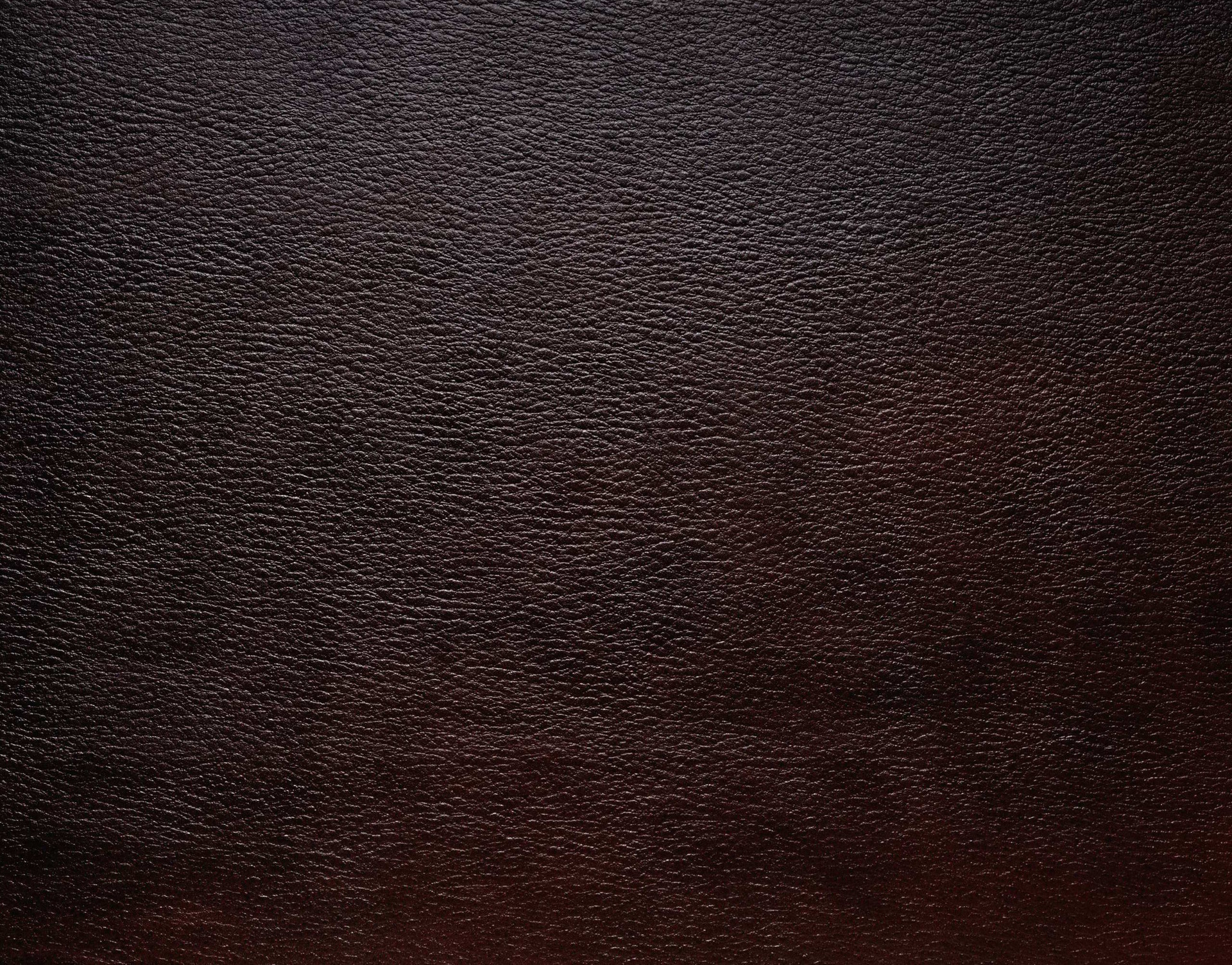 MAXƷ-Ƥ (21).jpg