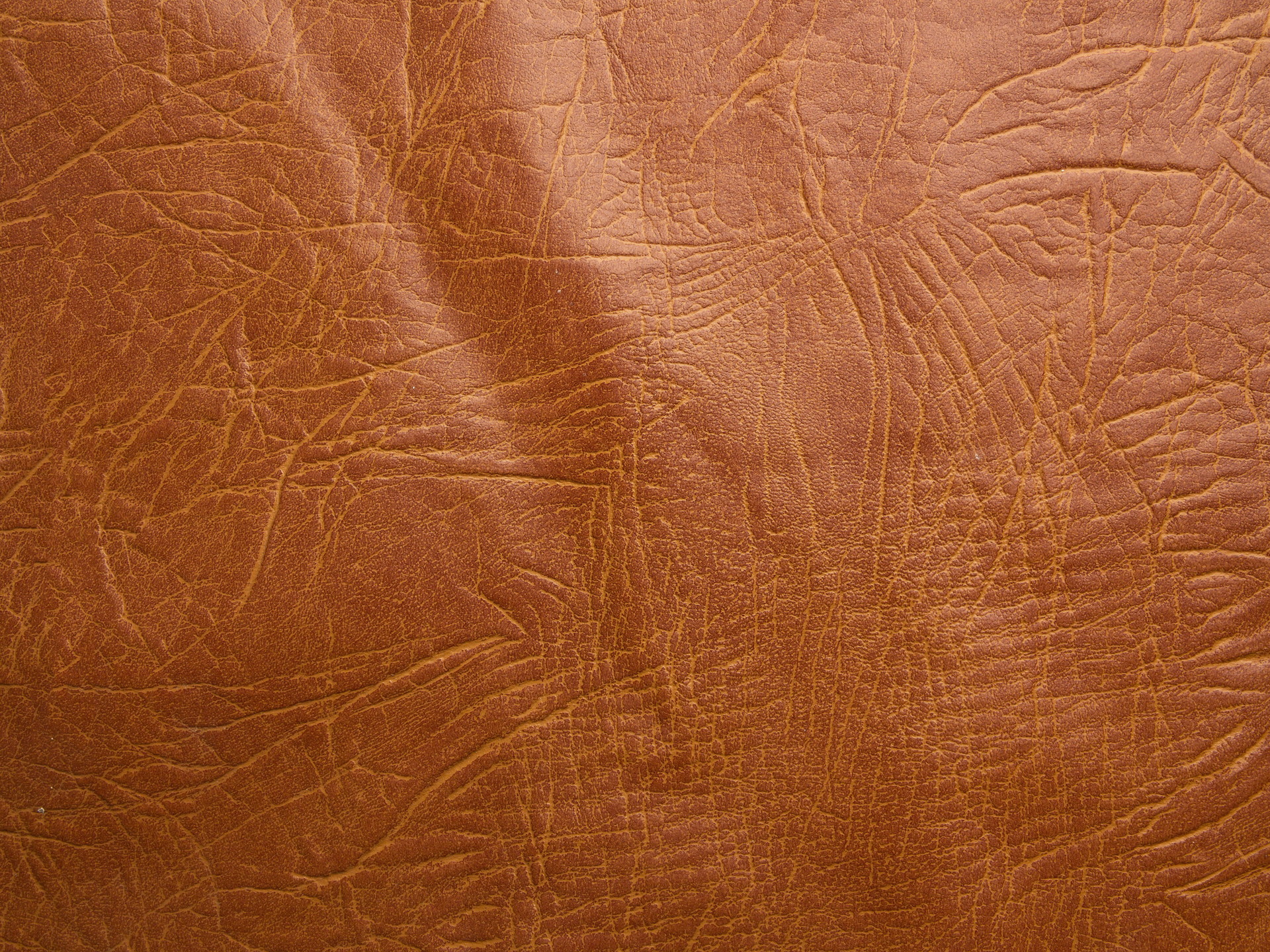 MAXƷ-Ƥ (23)_ͼ.jpg