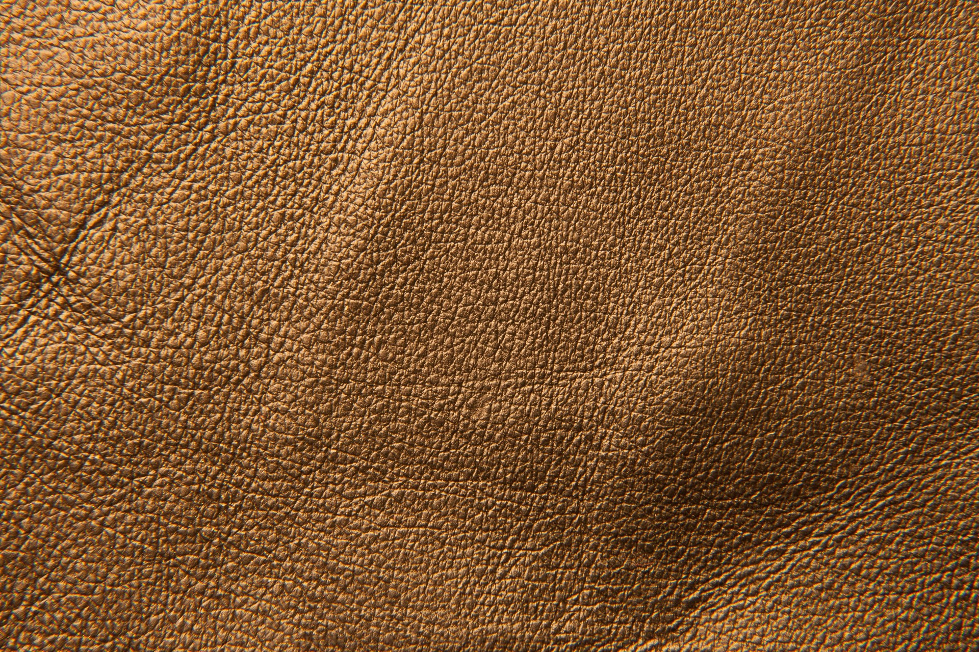 MAXƷ-Ƥ (35)_ͼ.jpg
