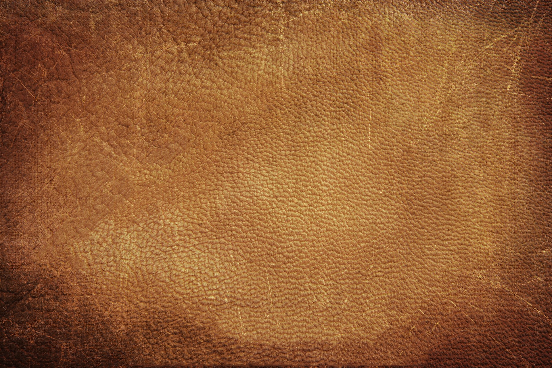 MAXƷ-Ƥ (37)_ͼ.jpg