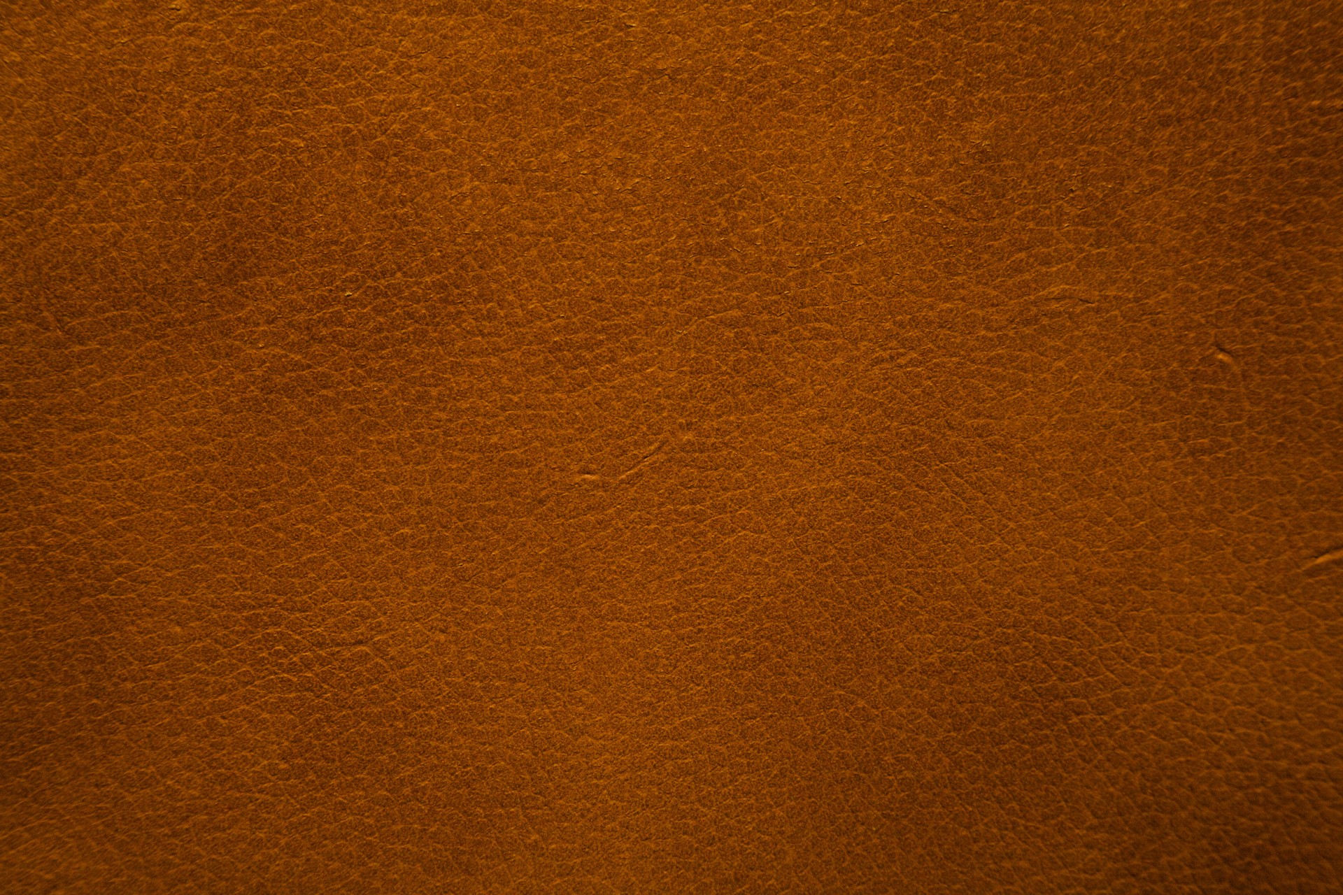 MAXƷ-Ƥ (41).jpg