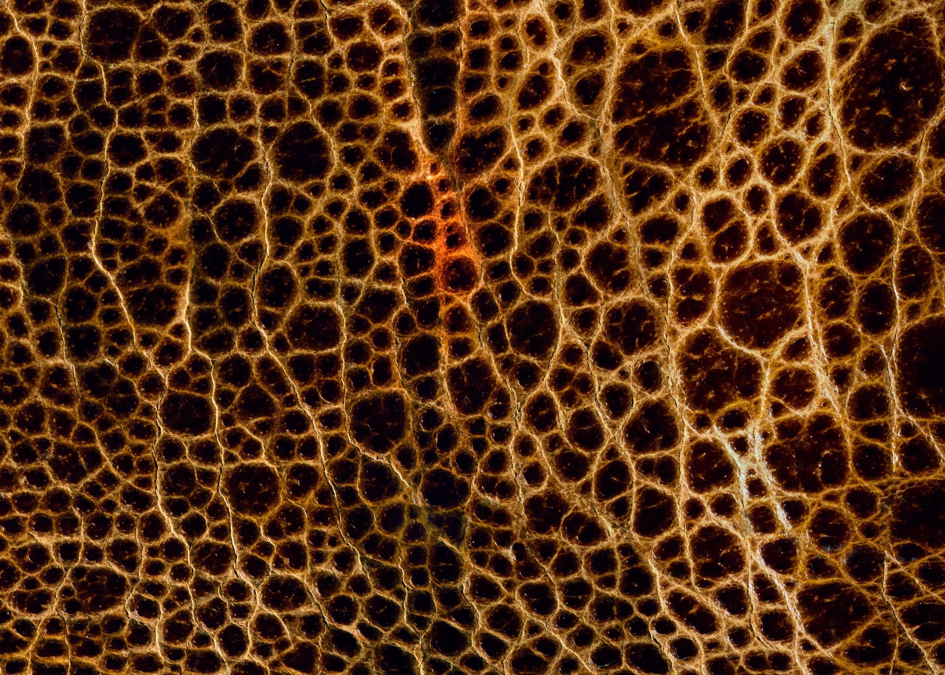 MAXƷ-Ƥ (69)_ͼ.jpg