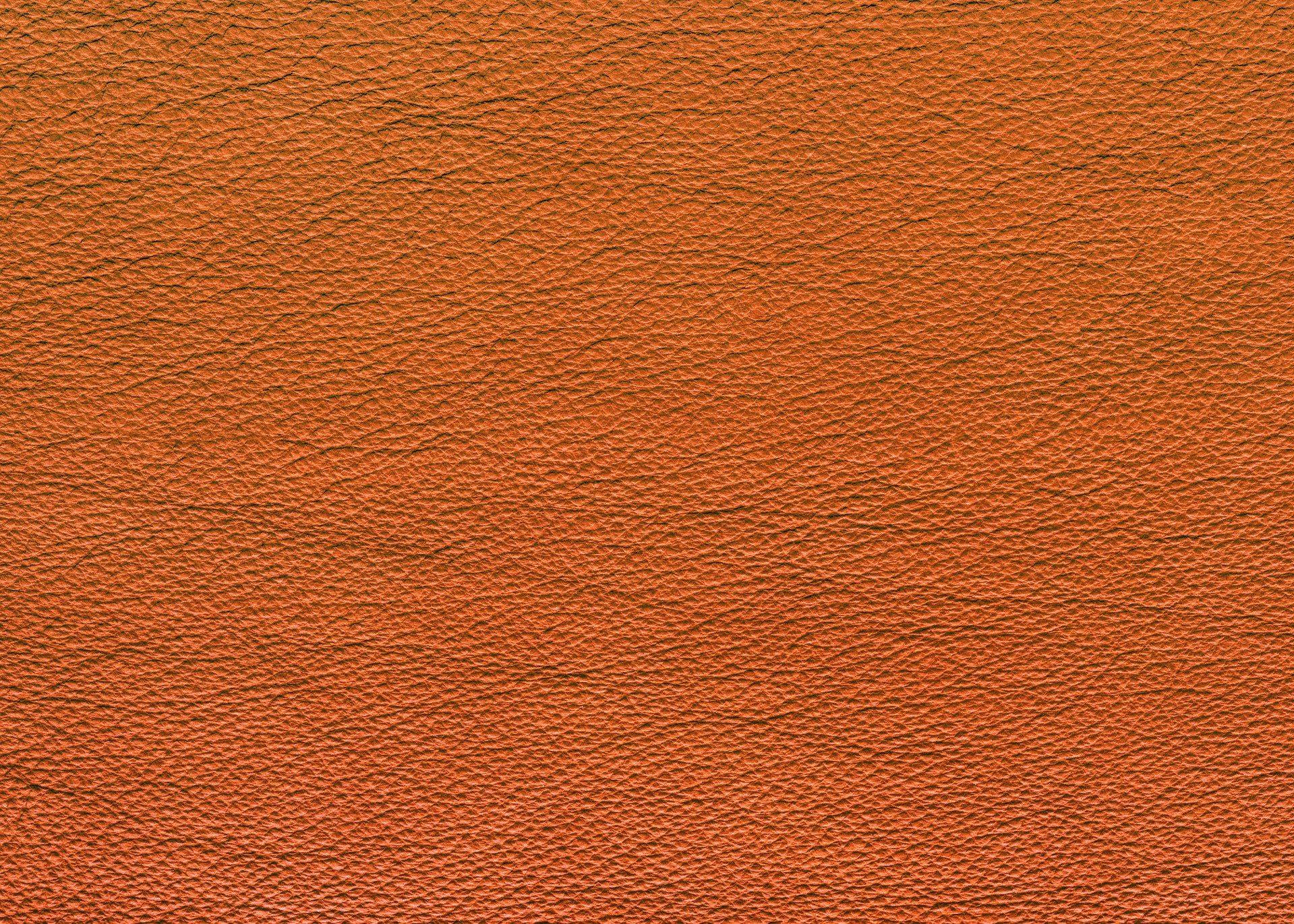 MAXƷ-Ƥ (75)_ͼ.jpg