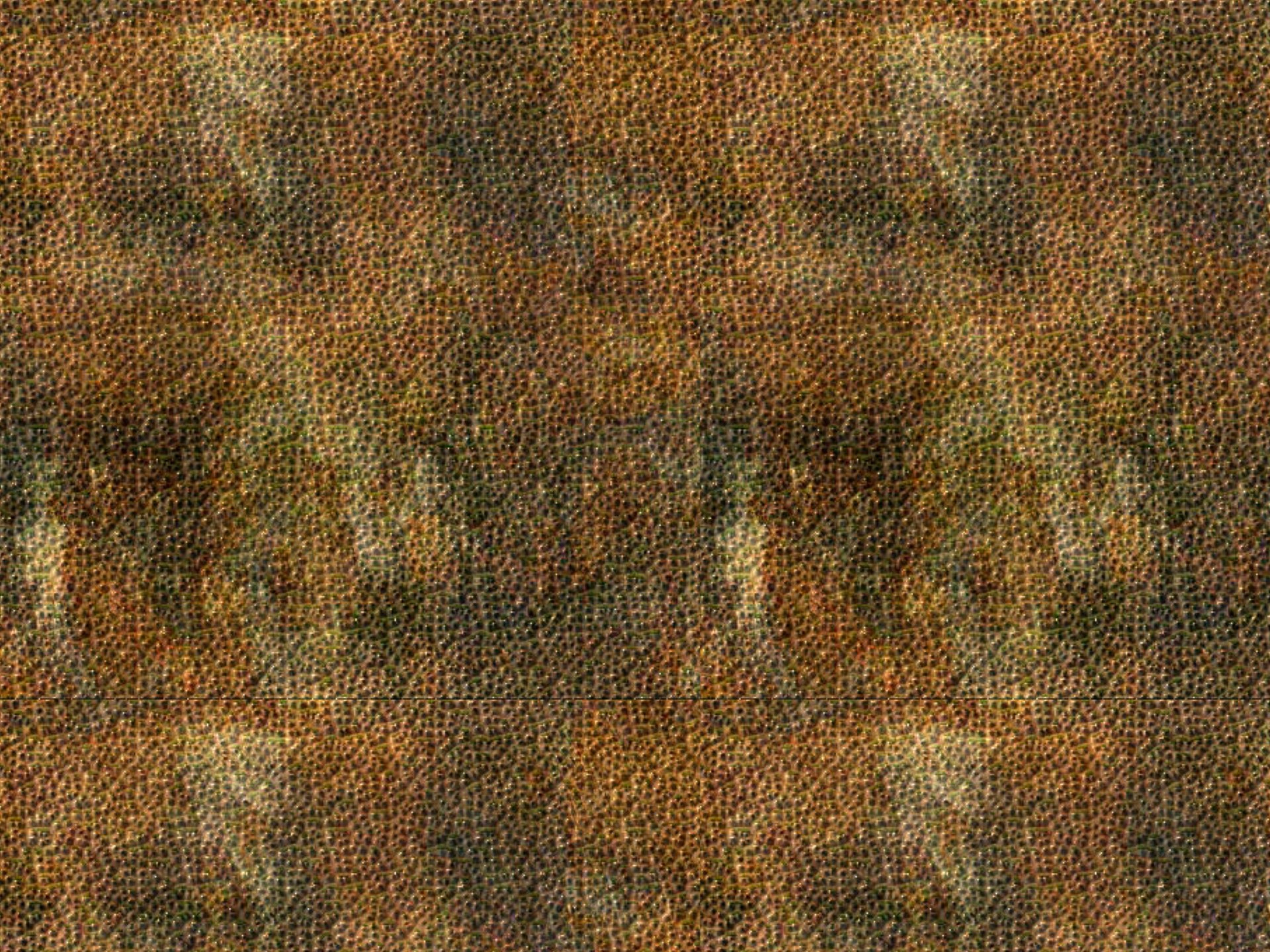 MAXƷ-Ƥ (86)_ͼ.jpg
