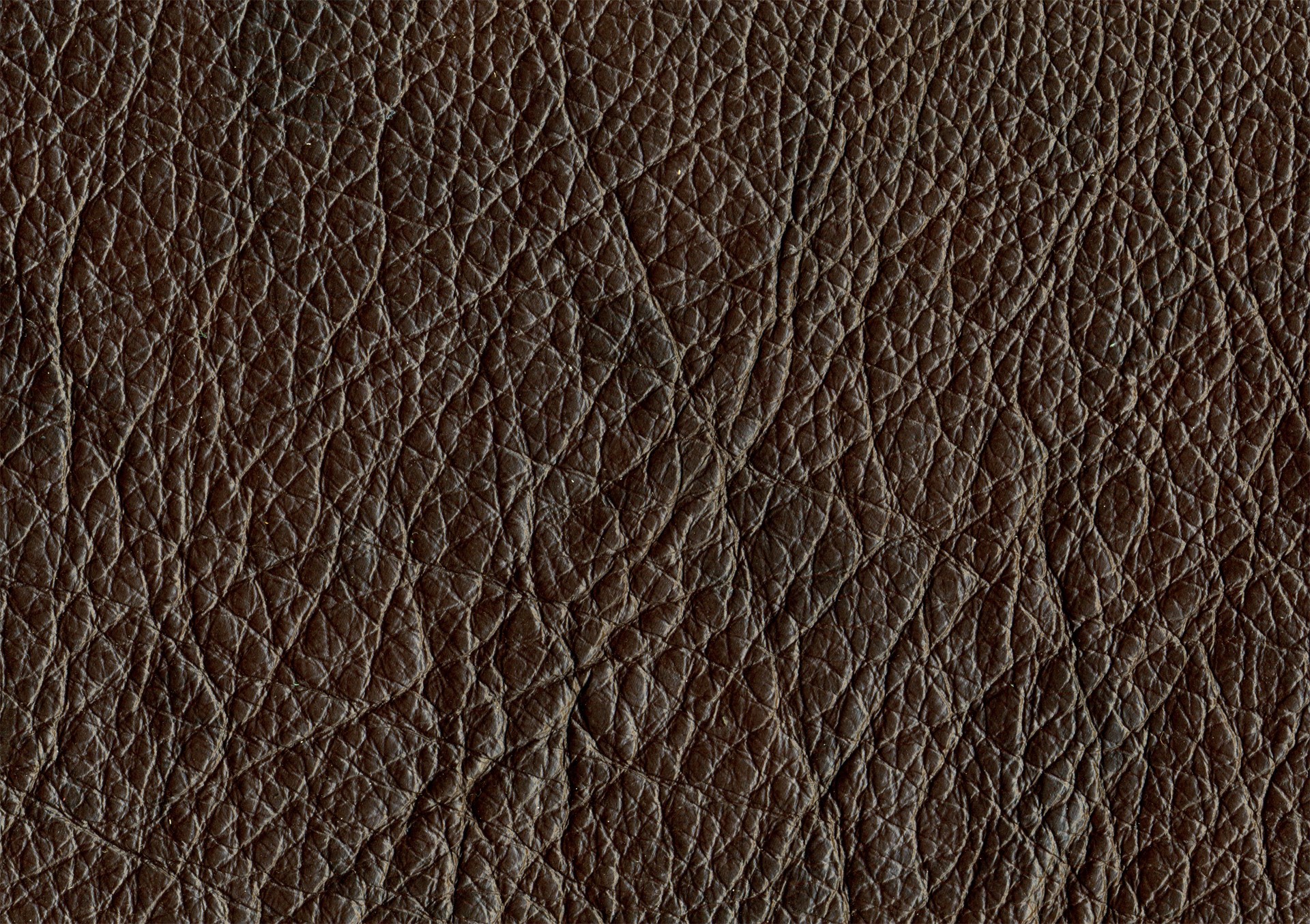 MAXƷ-Ƥ (95).jpg
