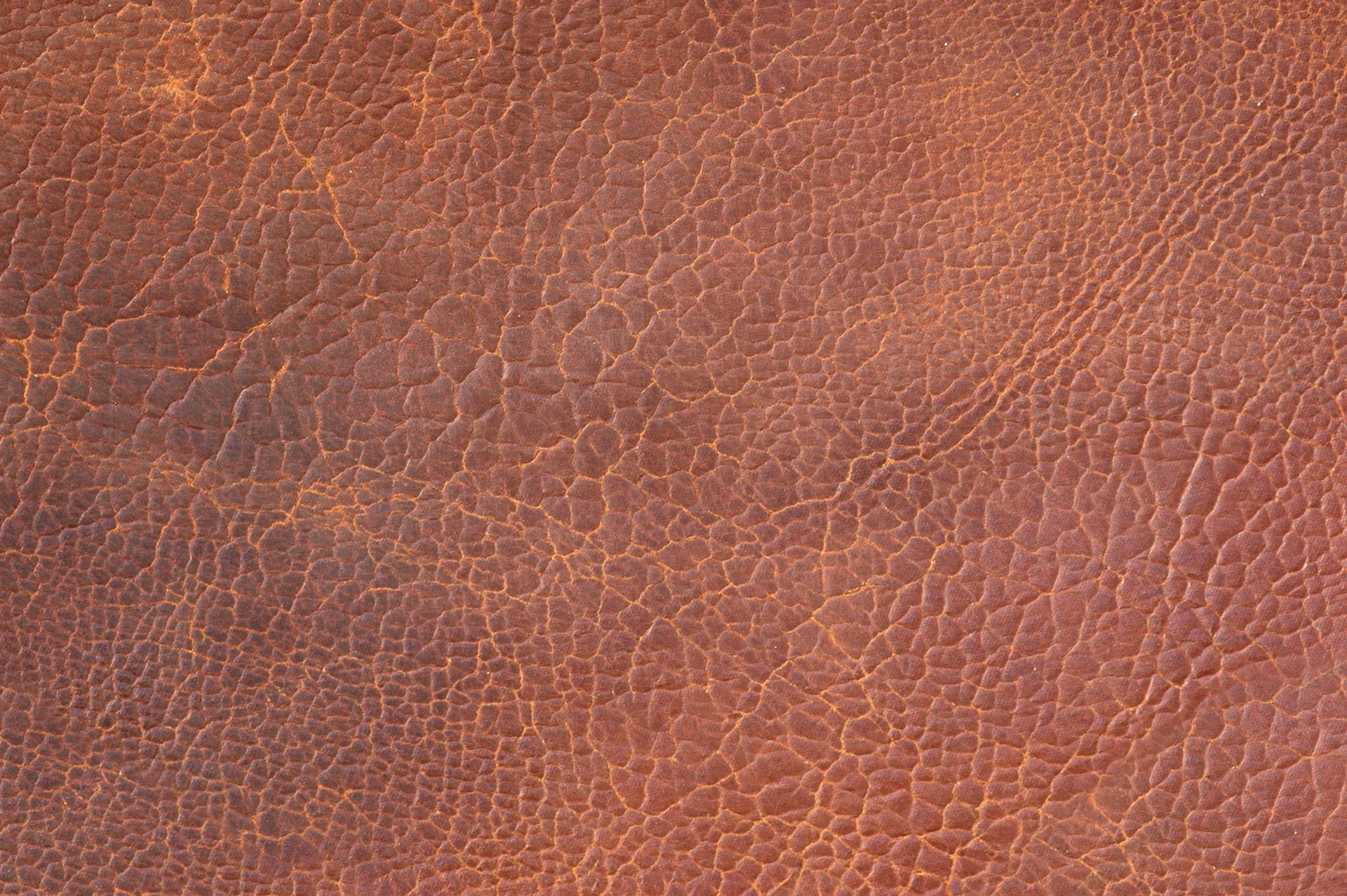 MAXƷ-Ƥ (100).jpg